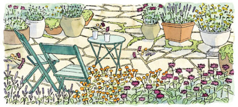 Grow Safe, Natural Mosquito Repellents Image